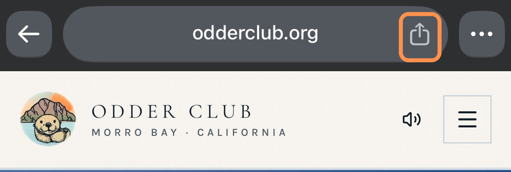 iPhone browser address bar with the Share button outlined in orange.